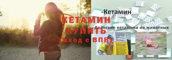 крисы Баксан