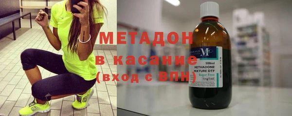 индика Каменка