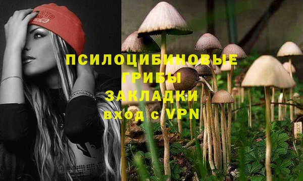 первитин Каменногорск