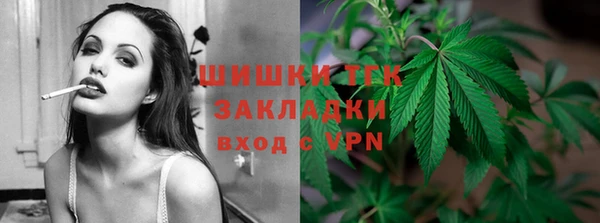 крисы Баксан