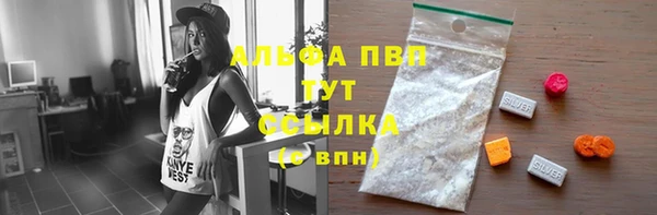 крисы Баксан