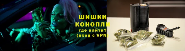 крисы Баксан