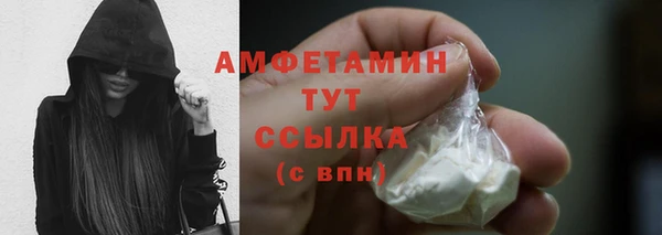 крисы Баксан
