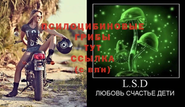 крисы Баксан