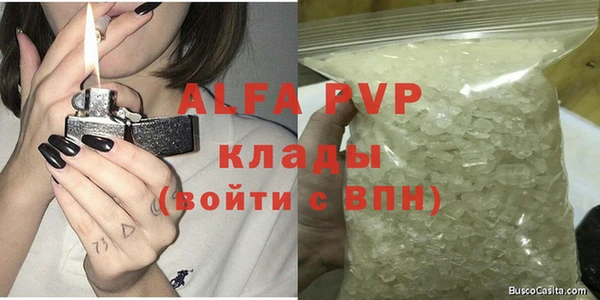 крисы Баксан