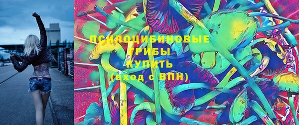 крисы Баксан